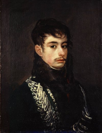 Ein Offizier von Francisco de Goya